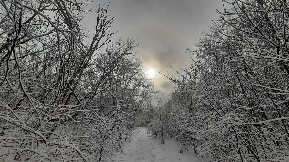 Photograph by ИГОРЬ