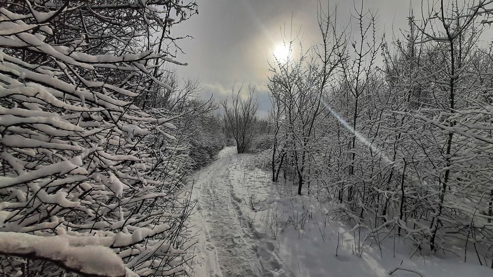 Photograph by ИГОРЬ