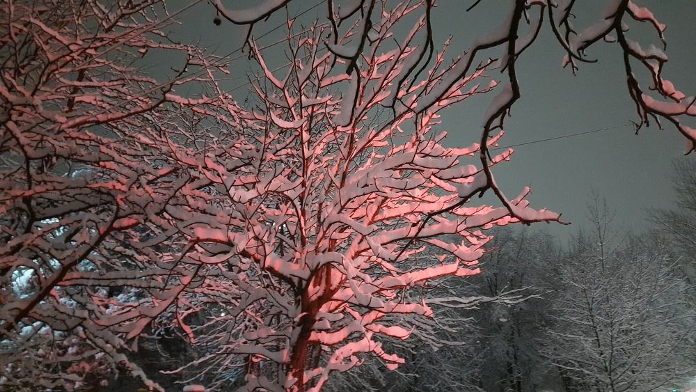 Photograph by ИГОРЬ