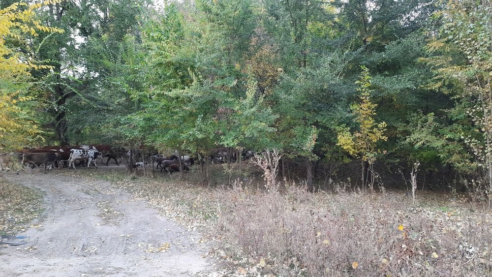 Photograph by ИГОРЬ