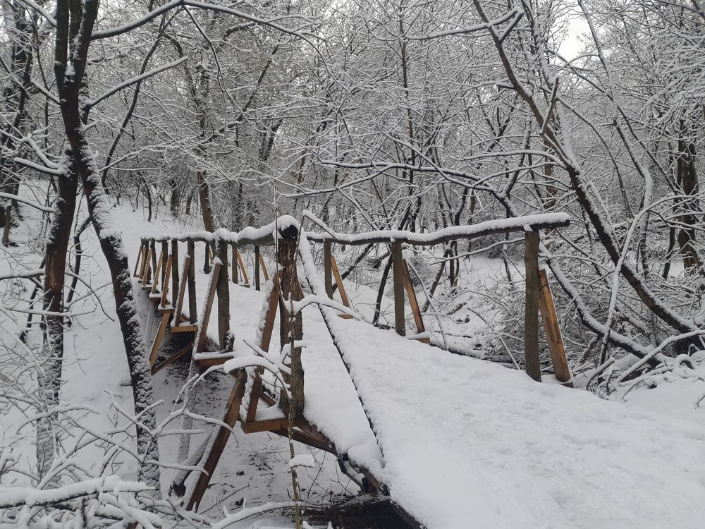 Photograph by ИГОРЬ