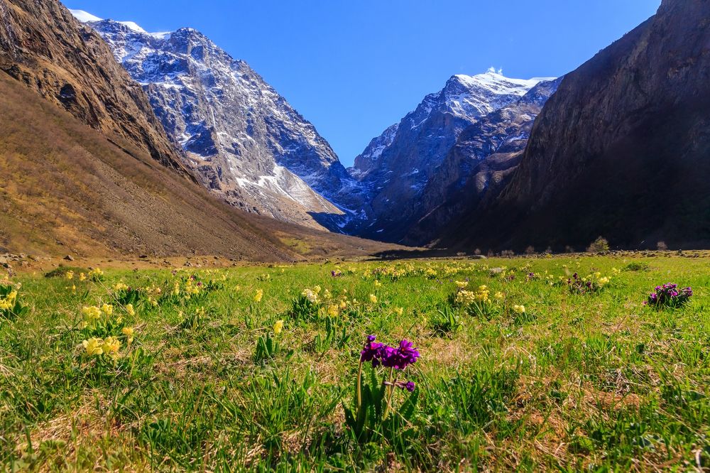 Весна в Мидаграбинском ущелье.