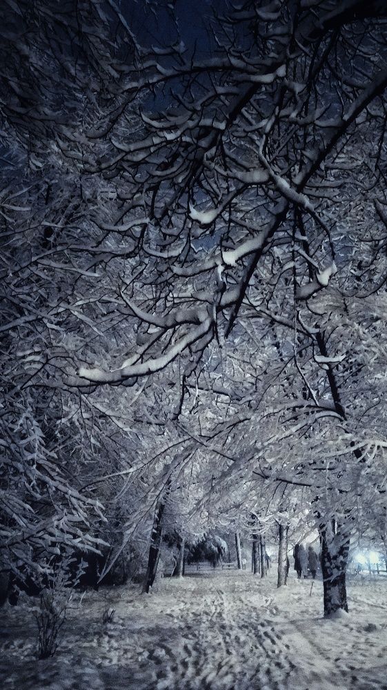 Photograph by Светлана Безъязычная