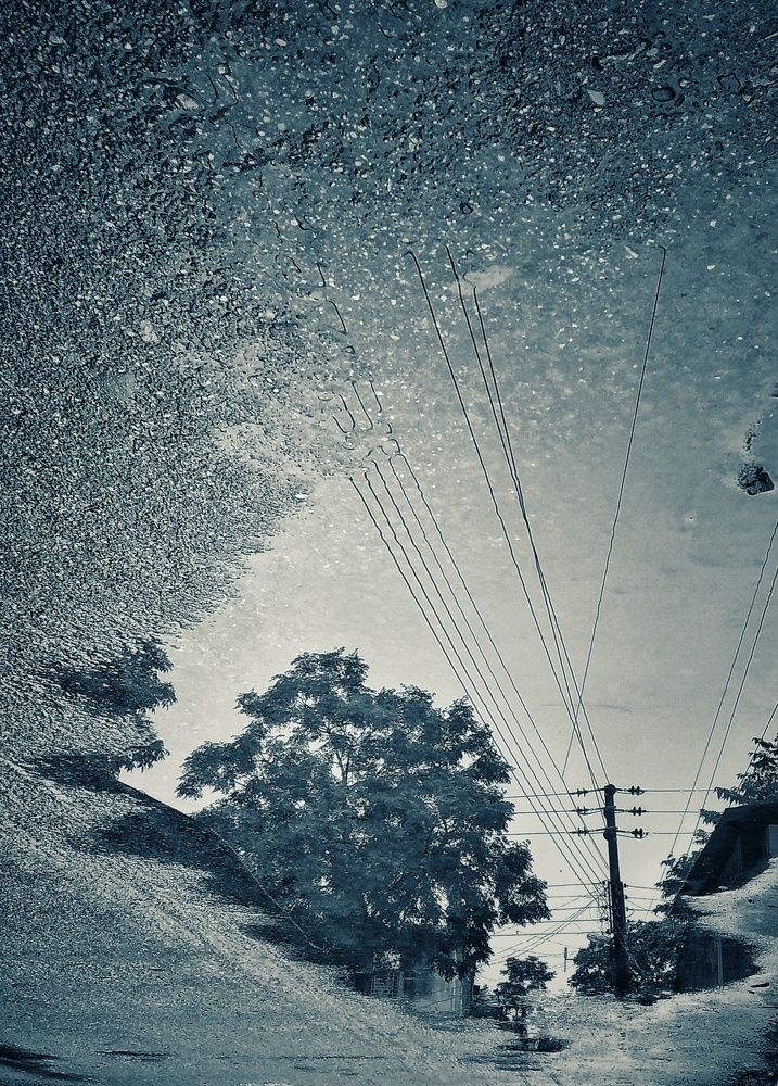 Photograph by Ishmam Ishmam