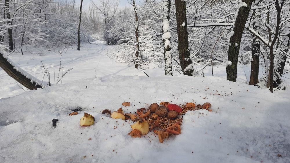 Photograph by ИГОРЬ