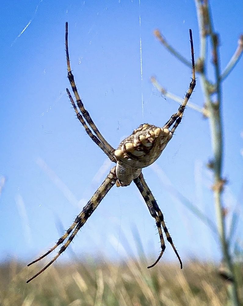 Photograph by Игорь