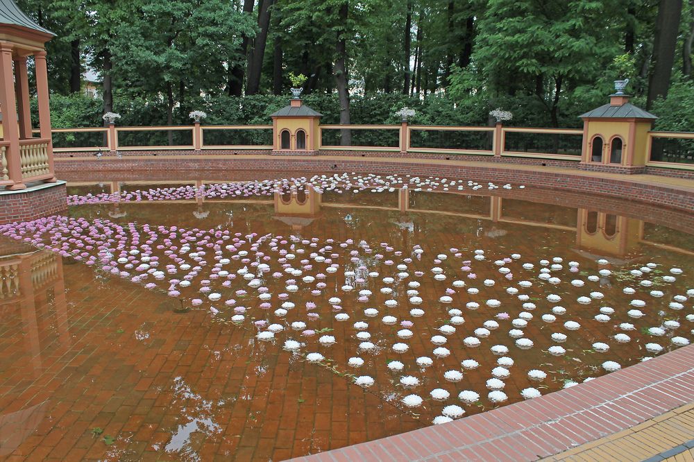 Photograph by Галина