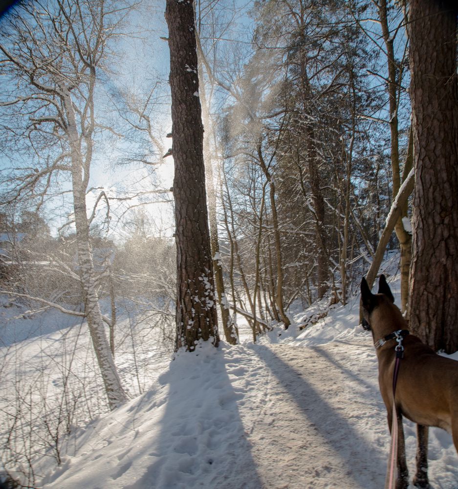 Photograph by Владимир Рогозов