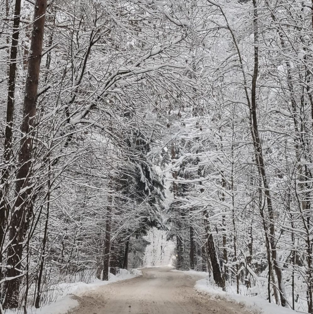 Photograph by Алиса