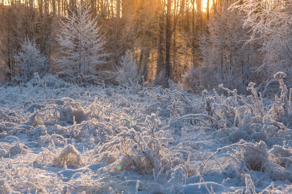 Photograph by Александрова Ольга