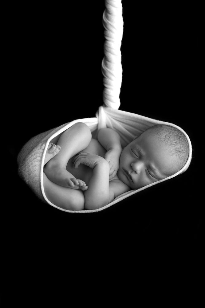 Photograph by Полина Шелюто