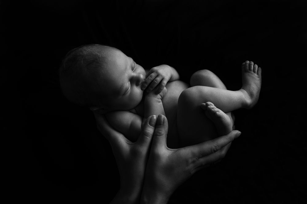 Photograph by Полина Шелюто