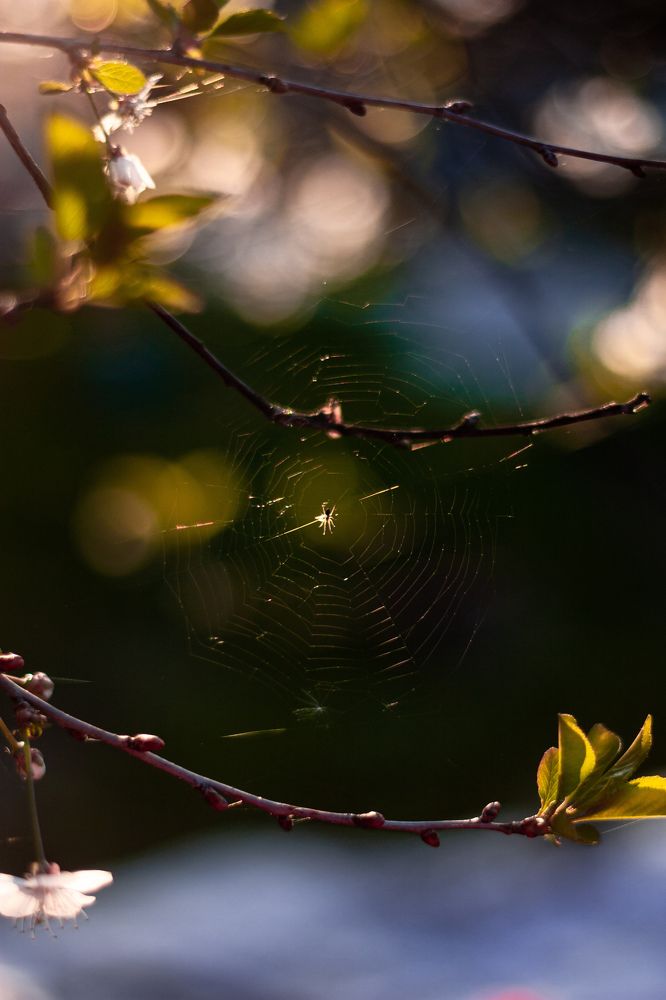 Photograph by Nika Prokopenko