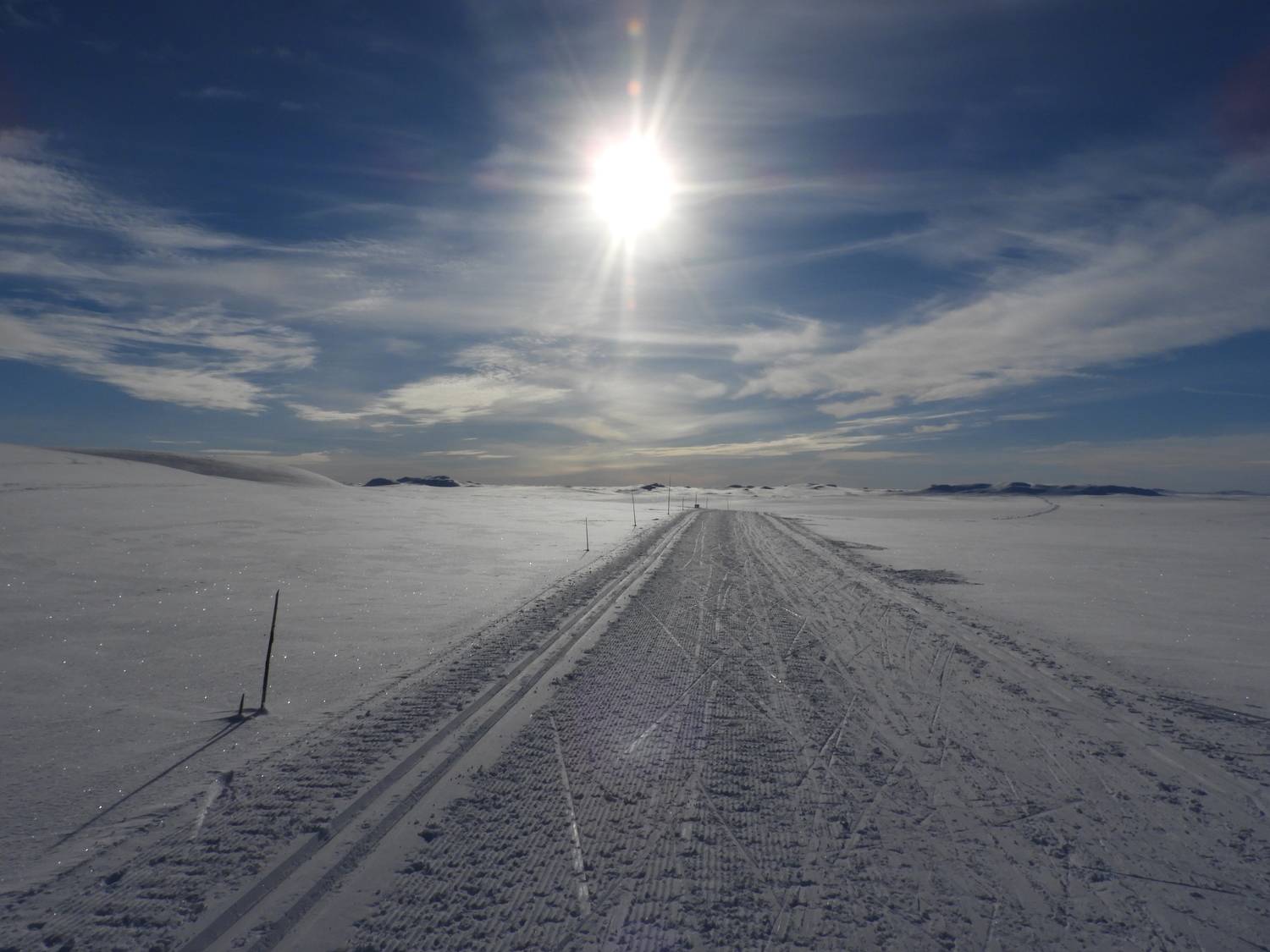 Photo #7066727