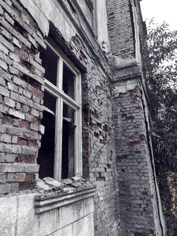 Photograph by Алексей Ларин