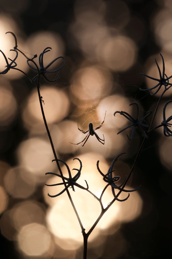 Photograph by Игорь ФУММ