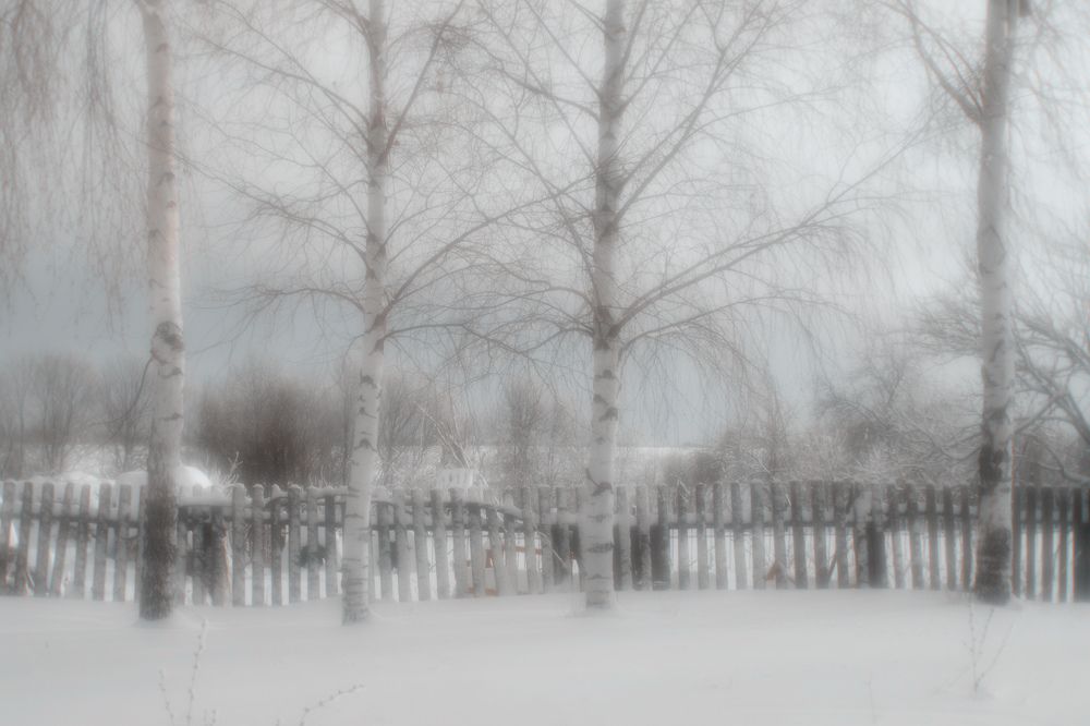 Photograph by Владимир Васенев