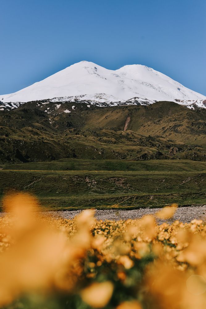 Эльбрус и лютики