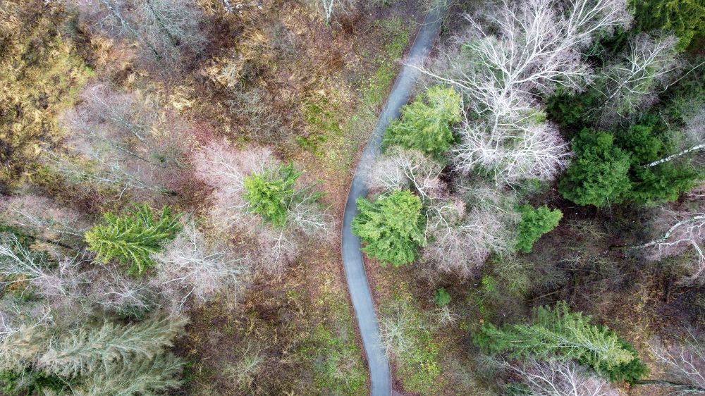 Photograph by Михаил Серебренников