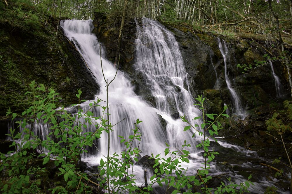 Фотография автора Anna NovaLova