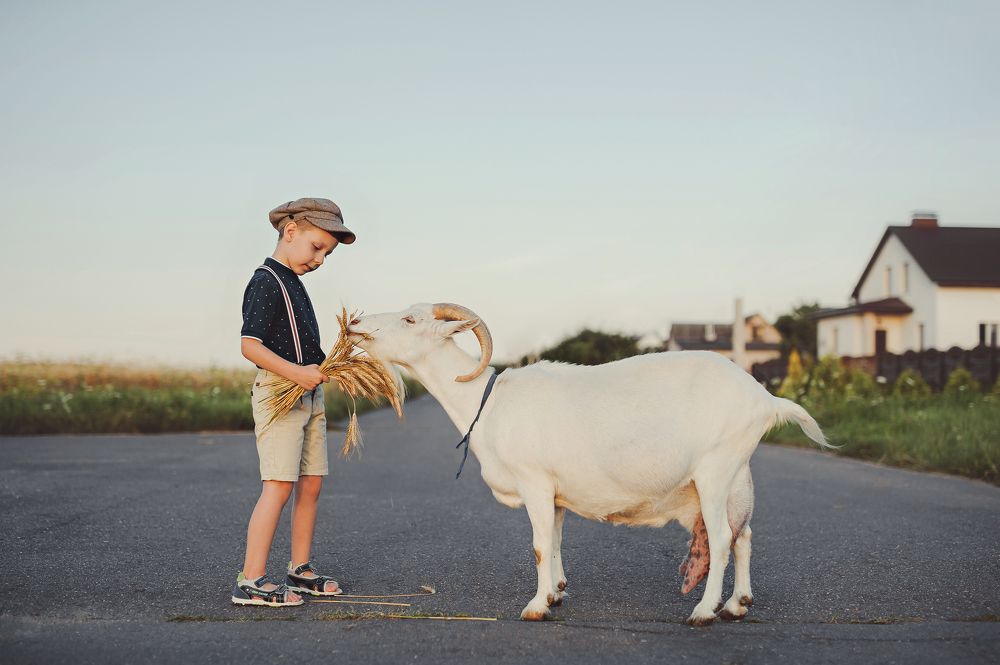 Photograph by Екатерина Беняш