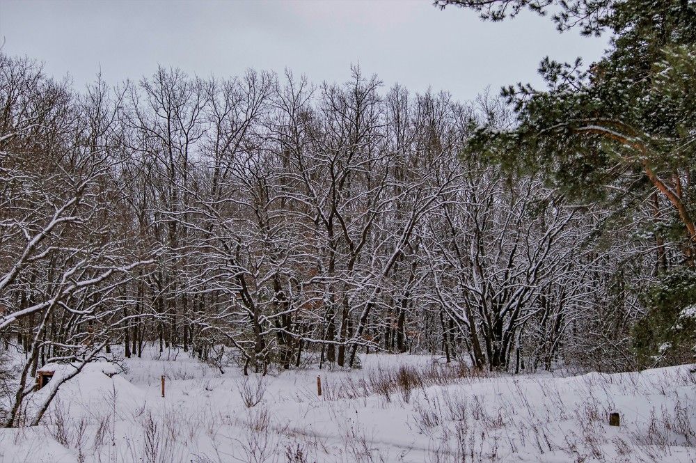 Photograph by Алексей Сиваков