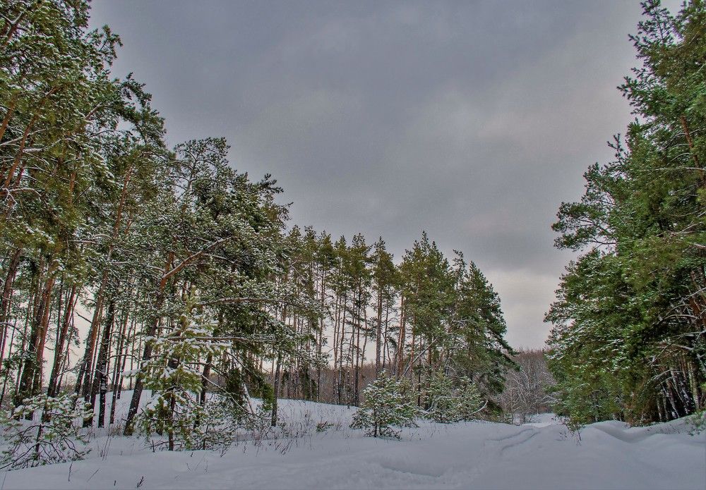 Photograph by Алексей Сиваков