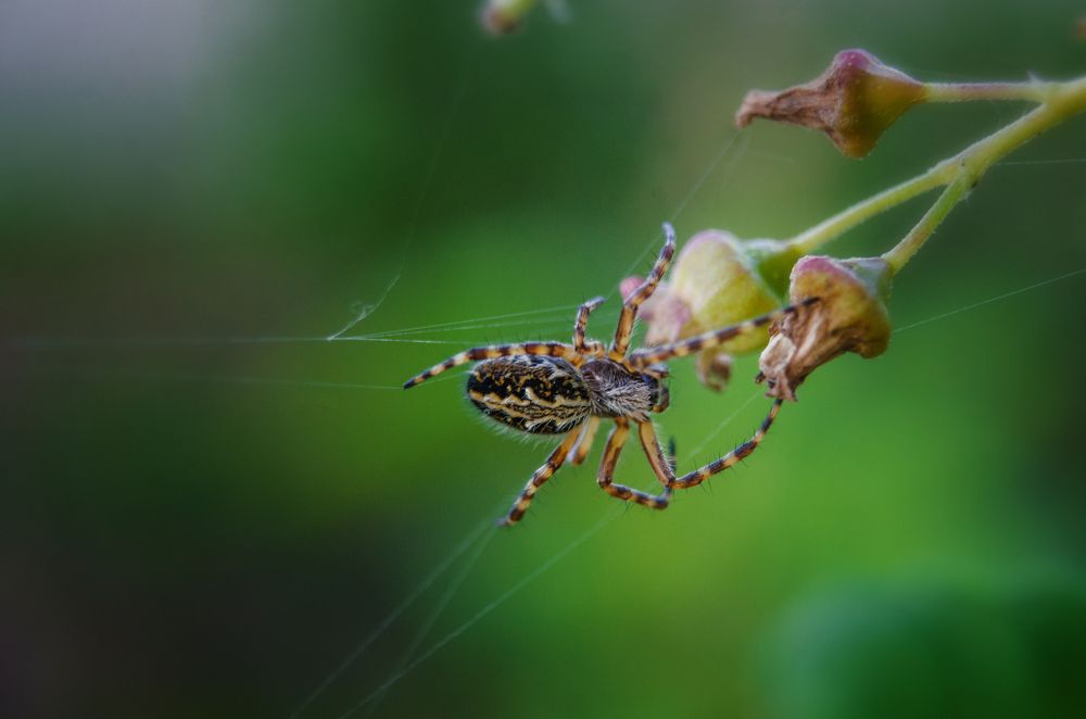 Photograph by Наталья Золотарева