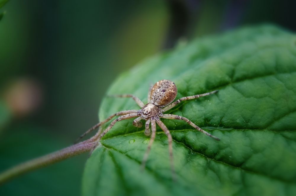 Photograph by Наталья Золотарева