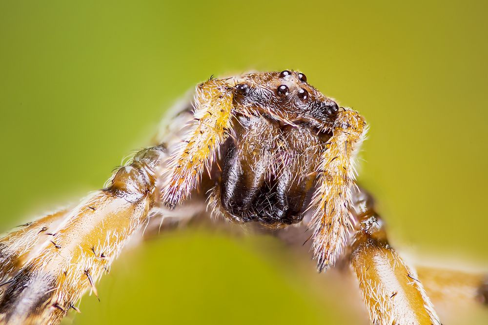 Photograph by Алексей Чечель