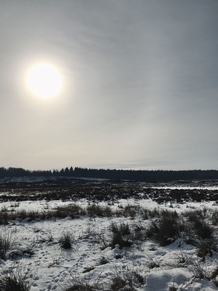 Photograph by Valentina Jegorova