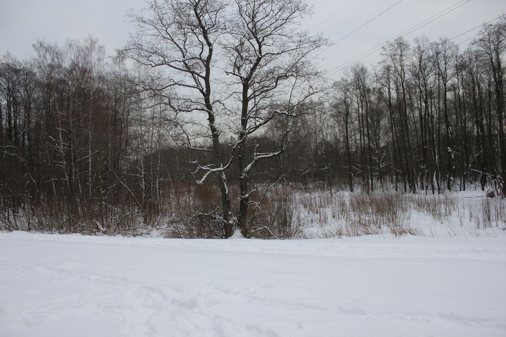 Photograph by Аркадий Глазырин-Уральский