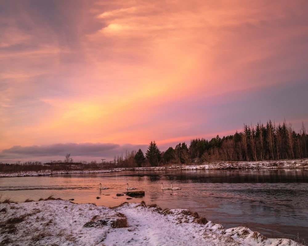 Photograph by Piotr Mickevic