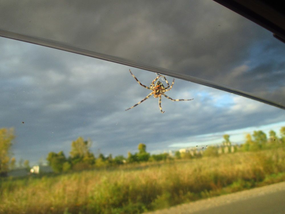 Photograph by Аркадий Глазырин-Уральский