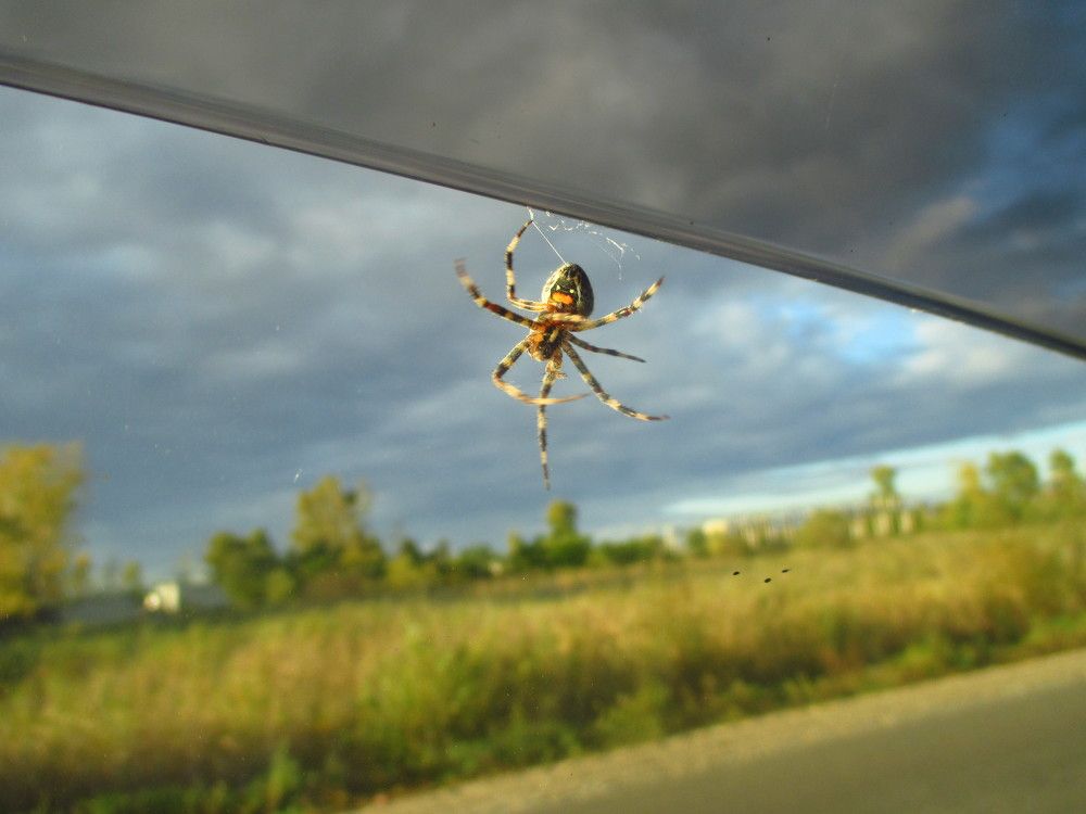 Photograph by Аркадий Глазырин-Уральский