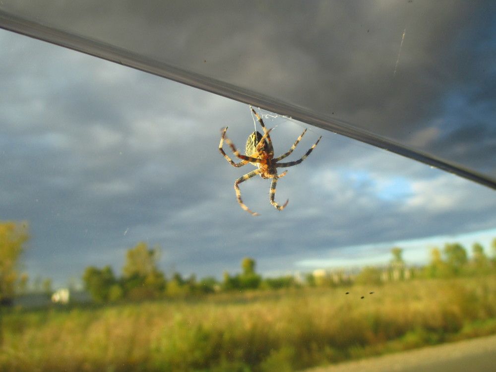 Photograph by Аркадий Глазырин-Уральский