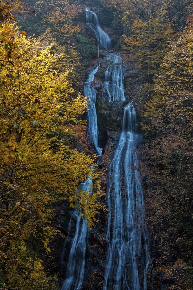 Photograph by cengiz pamuk