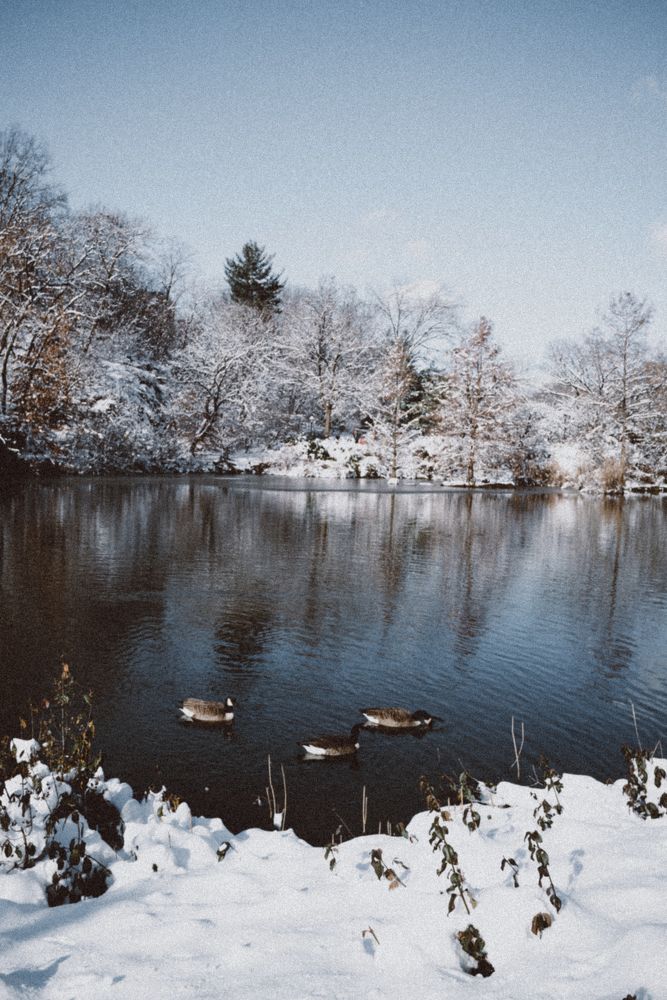 Photograph by Inga Tovpeko