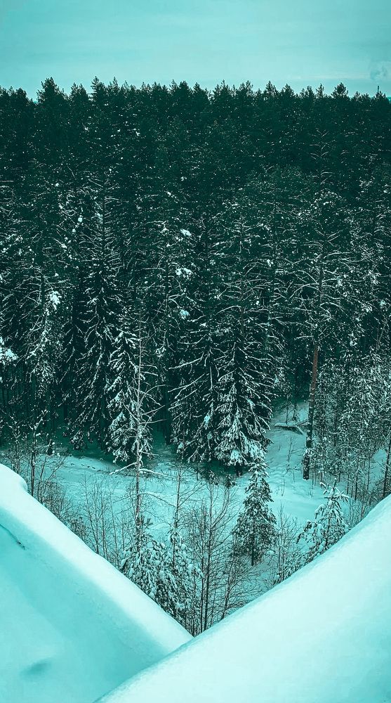 Photograph by Екатерина Алимова