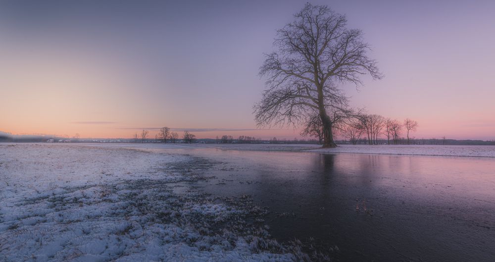 Photograph by Dariusz Budyta