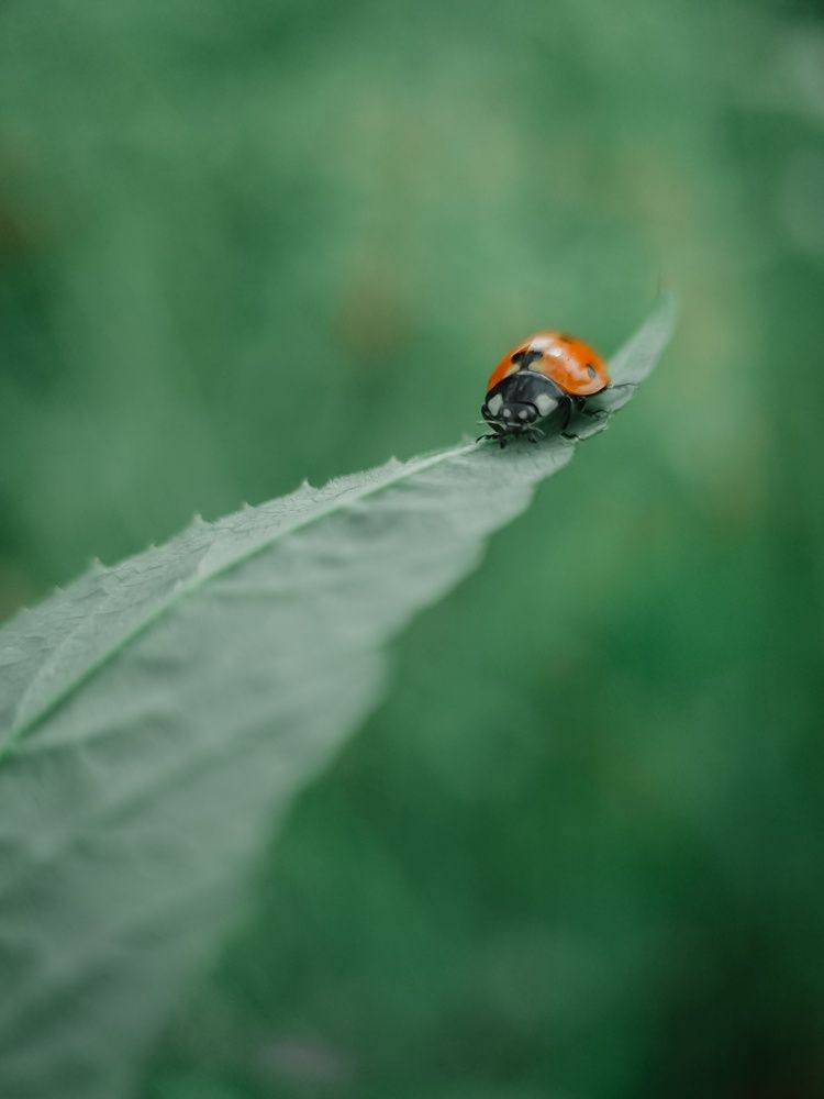 Photograph by Татьяна Пименкова
