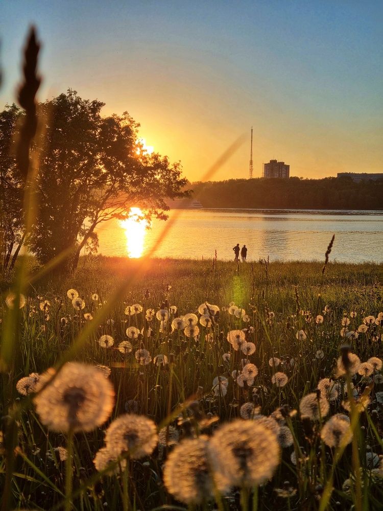 Photograph by Татьяна Пименкова