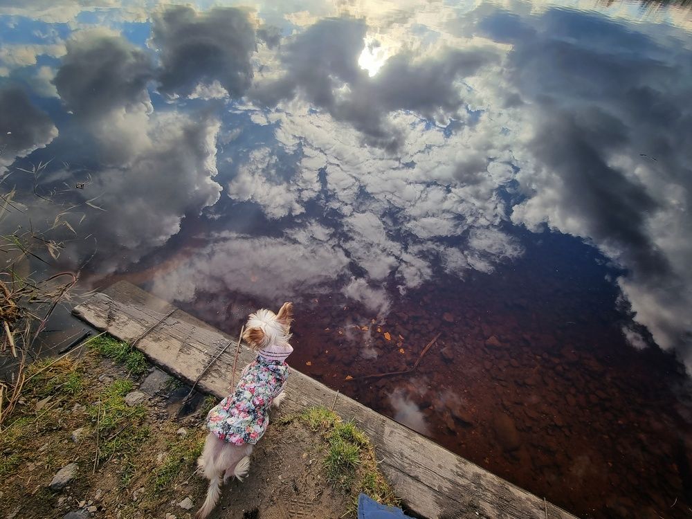 Photograph by Татьяна Пименкова