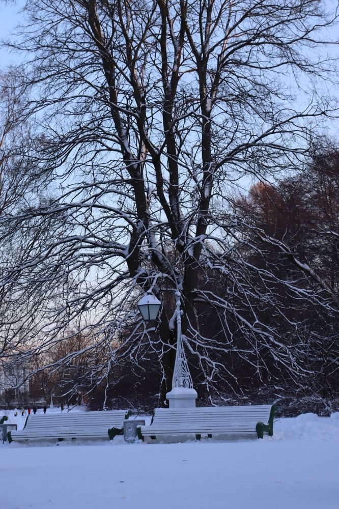 Photograph by Виктор Полуэктов