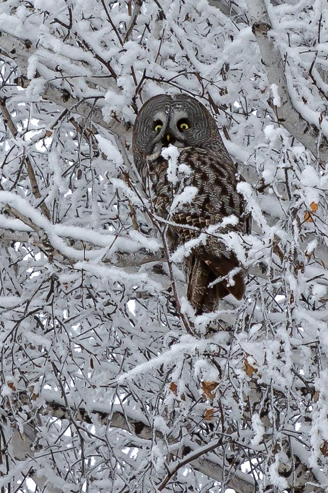 Photograph by Олег Тетерин