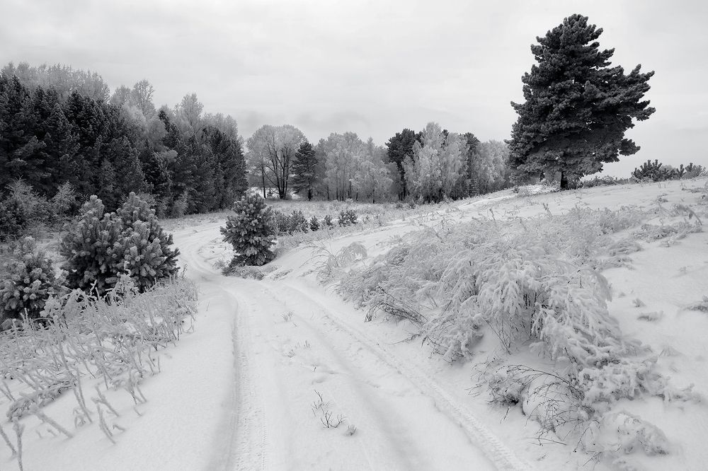 Photograph by Олег Тетерин