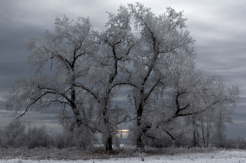 Photograph by Олег Тетерин