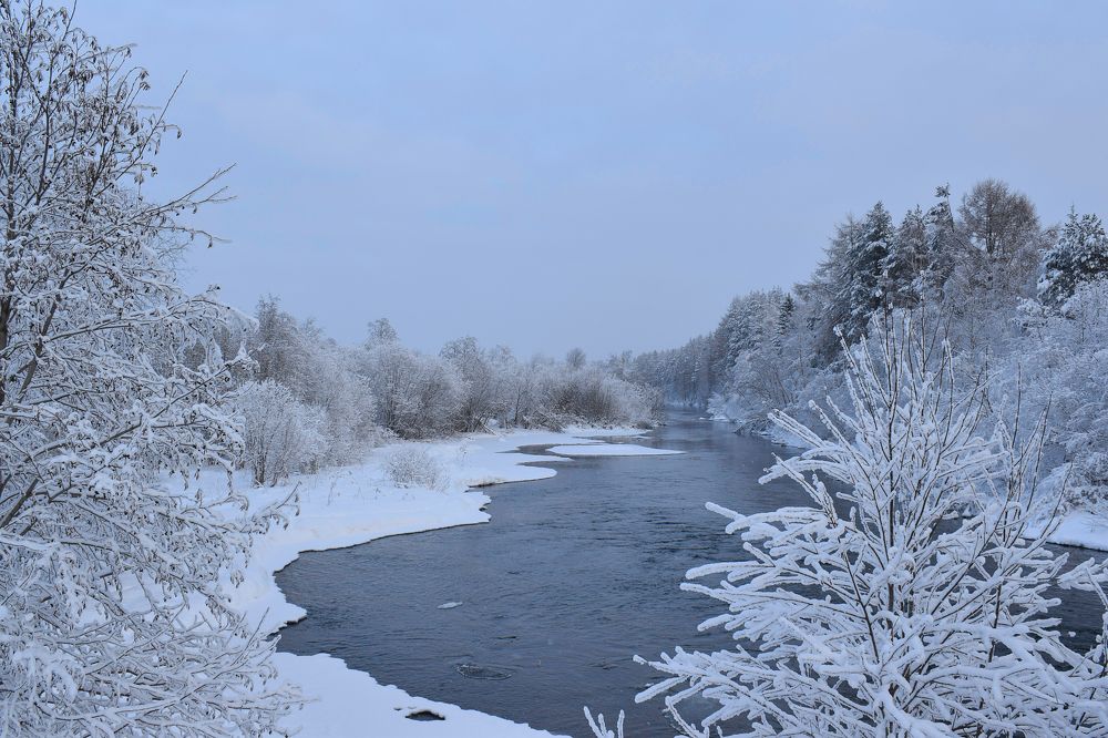 Фотография автора ОКСАНА ЛЬДИНИНА