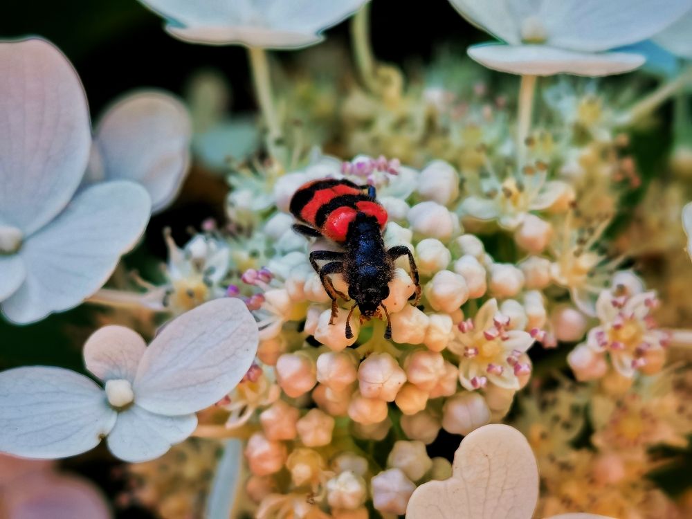 Photograph by Сергей Горбунов