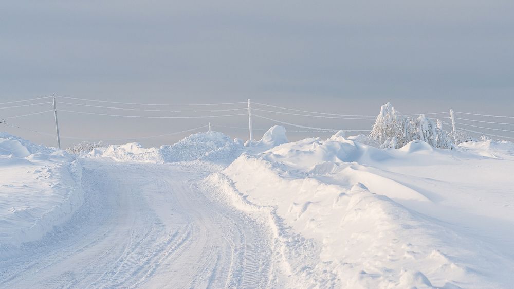 Photograph by Наталья